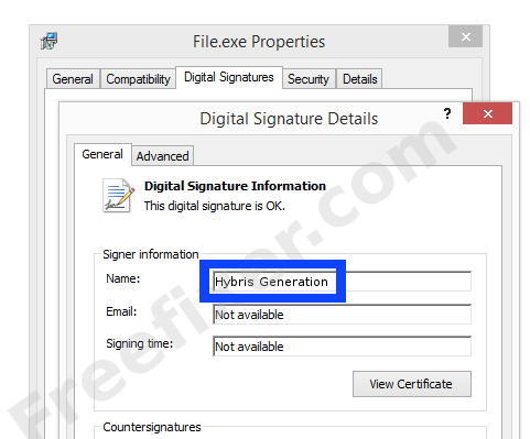 Screenshot of the Hybris Generation certificate